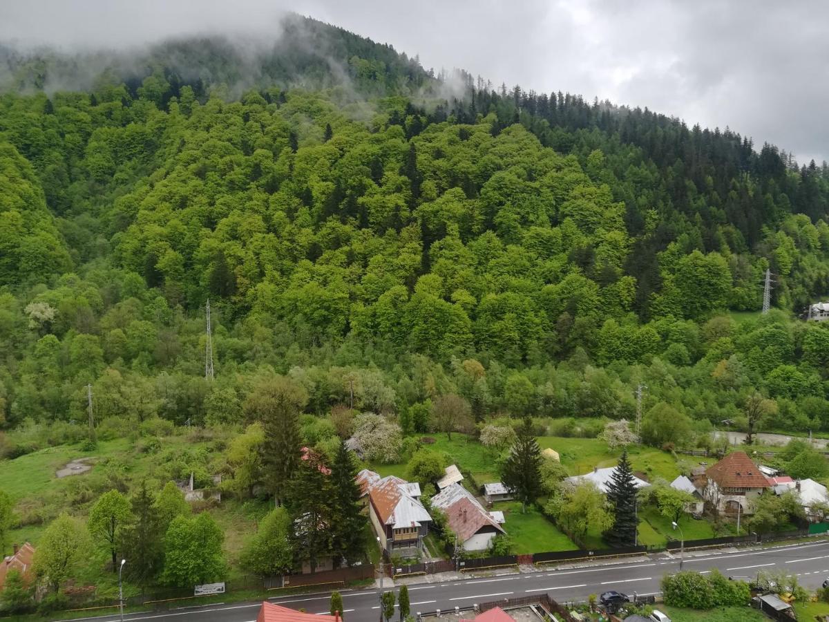 Sinaia Q Marie Apartment Exterior photo